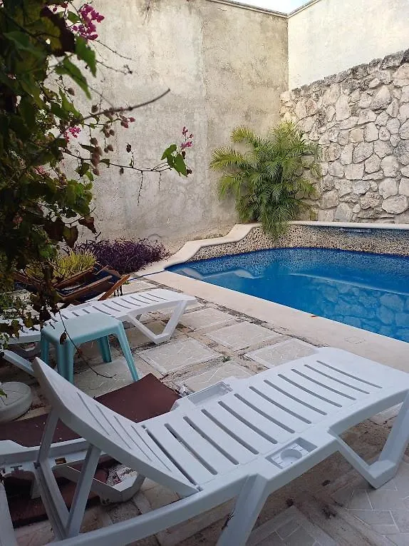 Purple Lotus Cozumel Apartment